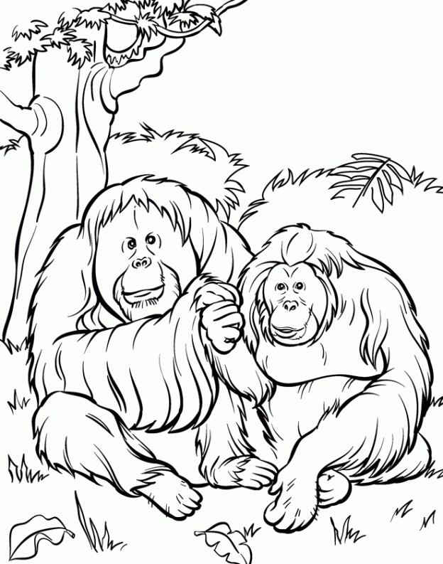 Free Printable Zoo Coloring Pages For Kids