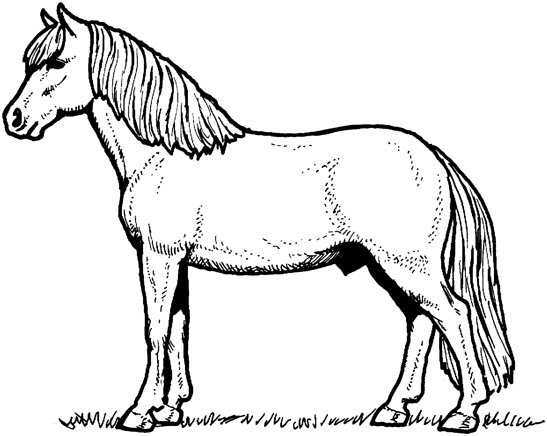 free-horse-coloring-pages